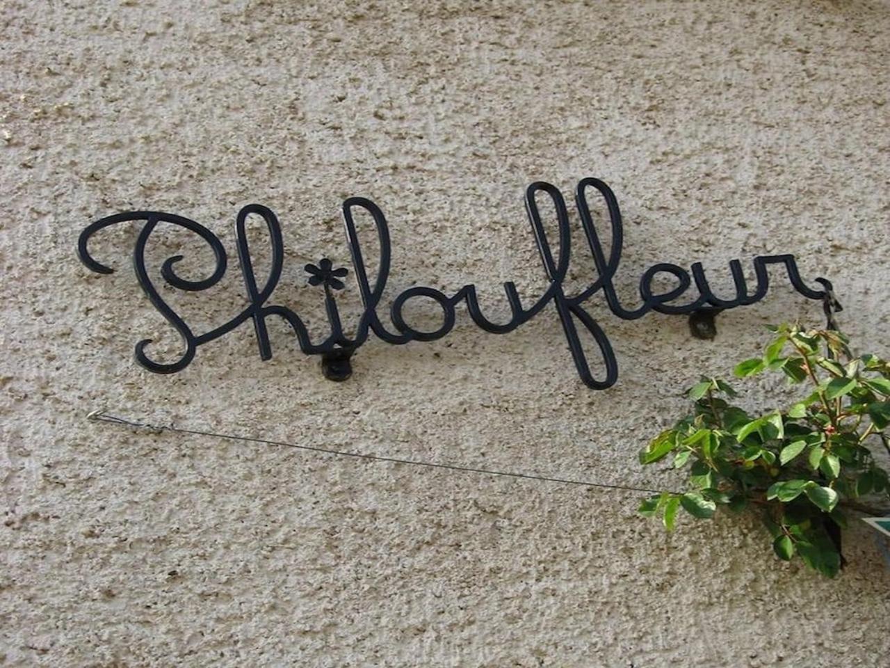 Philoufleur - Gite Restaure En Campagne Chaneins Eksteriør bilde